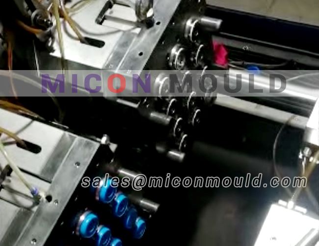 double color cap mould