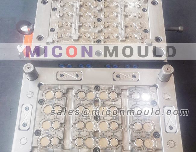 flip top cap mould