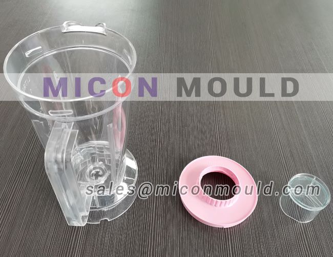 fruits blender mould
