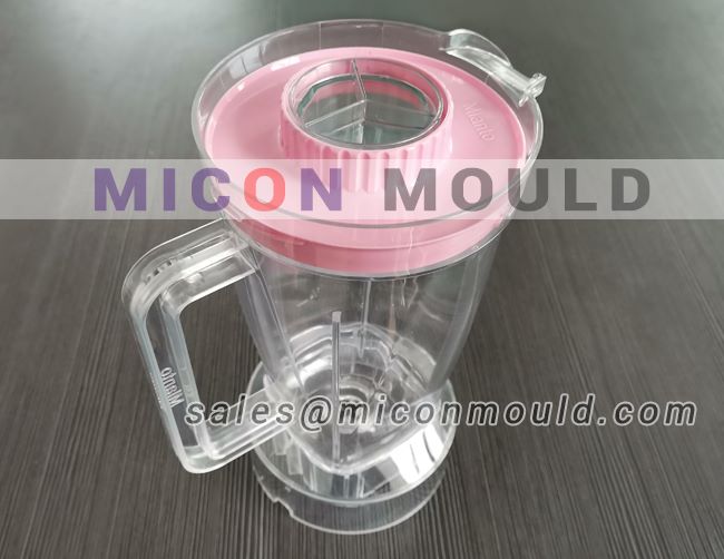 fruits blender mould