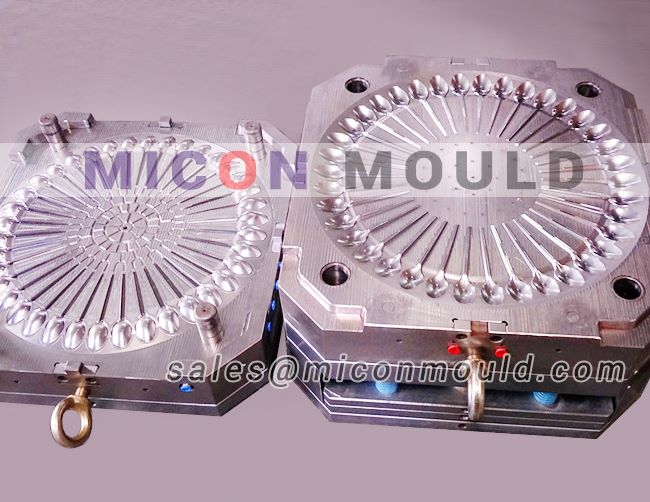 biodegradable spoon mould