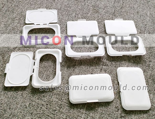 wet tissues cover mould
