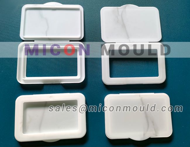 wet wipes cover mould