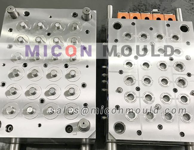 Multi cavity plastic cap mould