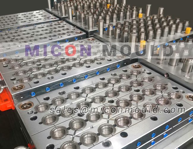 Multi cavity plastic cap mould