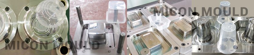 thin wall container mold
