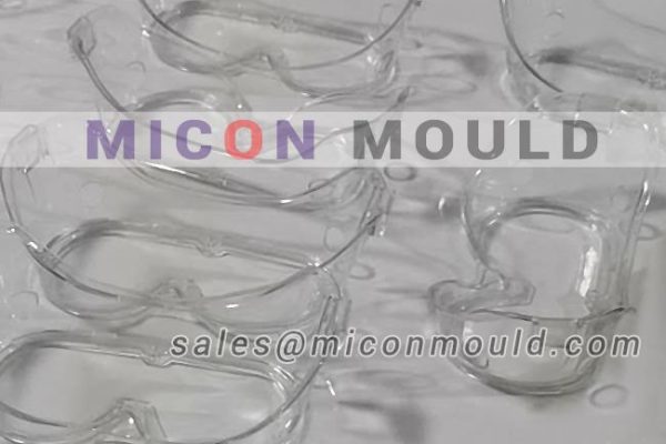 goggles mould