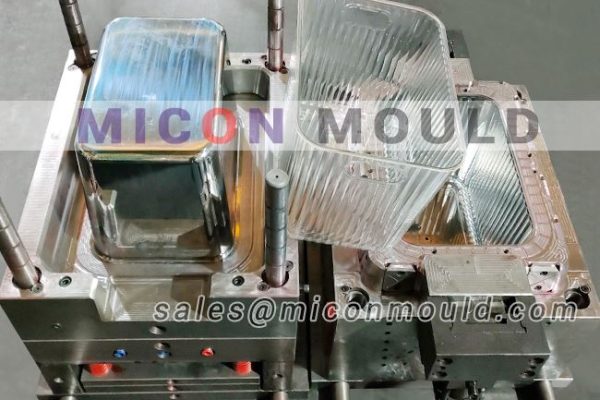 PET transparent basket mould